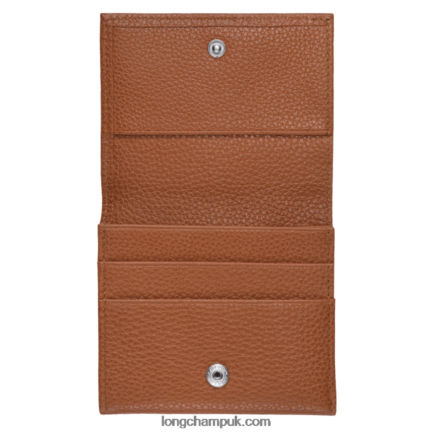 Le Foulonne Coin purse Men Longchamp 8RTH80543 Caramel