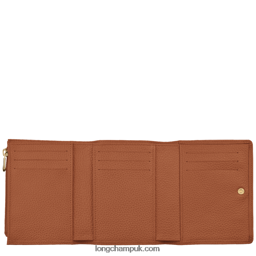 Le Foulonne Wallet Men Longchamp 8RTH80597 Caramel