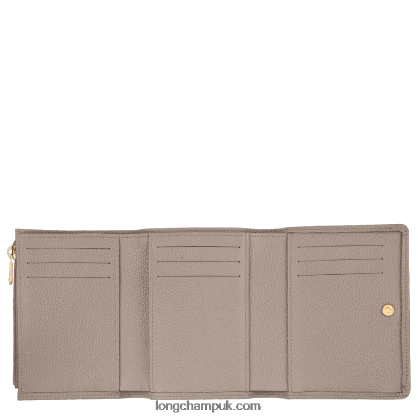 Le Foulonne Wallet Men Longchamp 8RTH80599 Turtledove