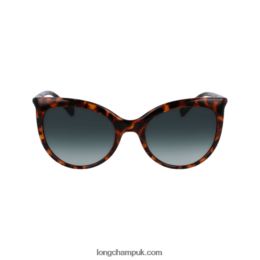 Fall/Winter 2022 Collection Sunglasses Women Longchamp 8RTH80903 Havana