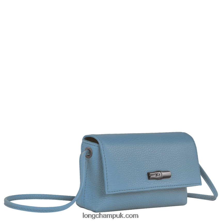 Roseau Essential Clutch Women Longchamp 8RTH8012 Slate