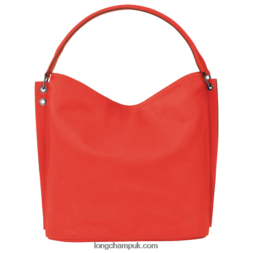 3D Hobo bag L Women Longchamp 8RTH80401 Orange