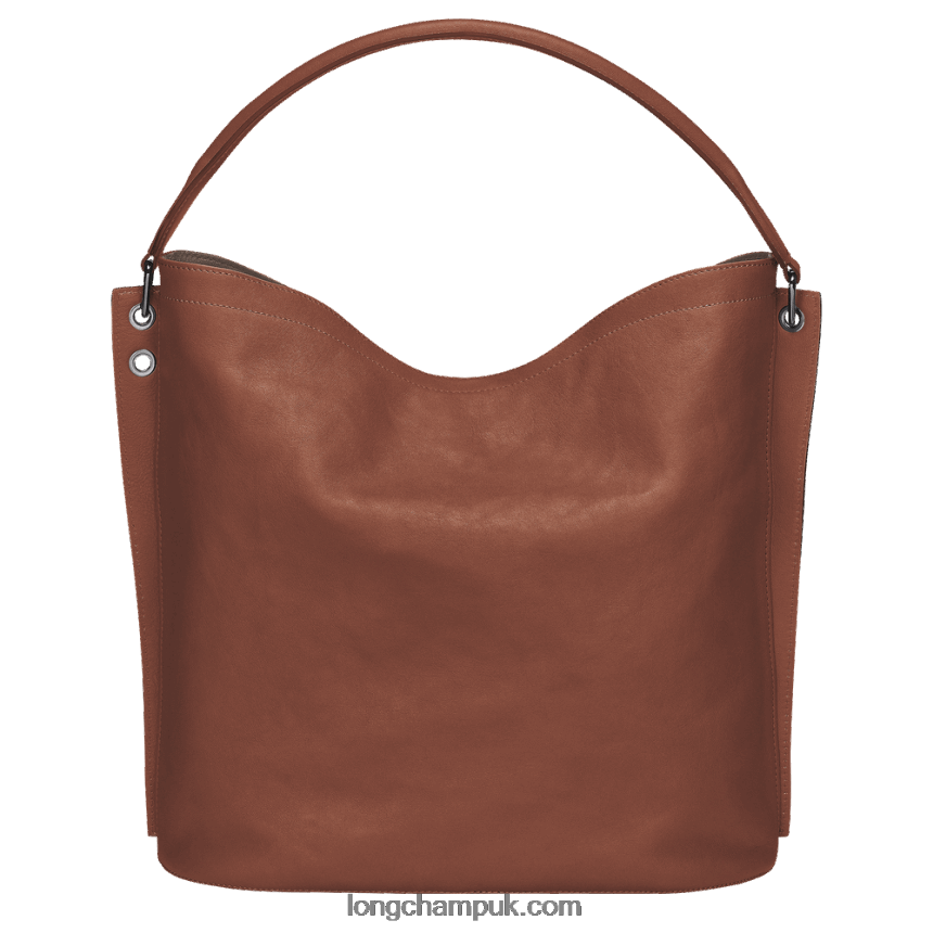 3D Hobo bag L Women Longchamp 8RTH80402 Cognac