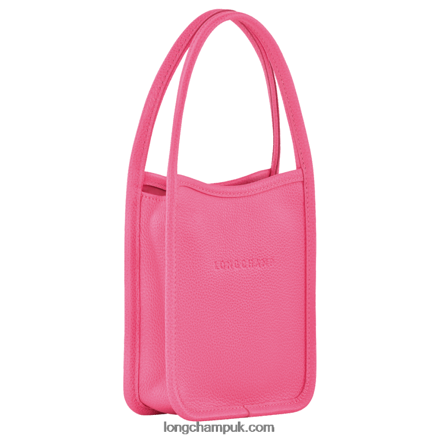 Le Foulonne Handbag XS Women Longchamp 8RTH80132 Candy