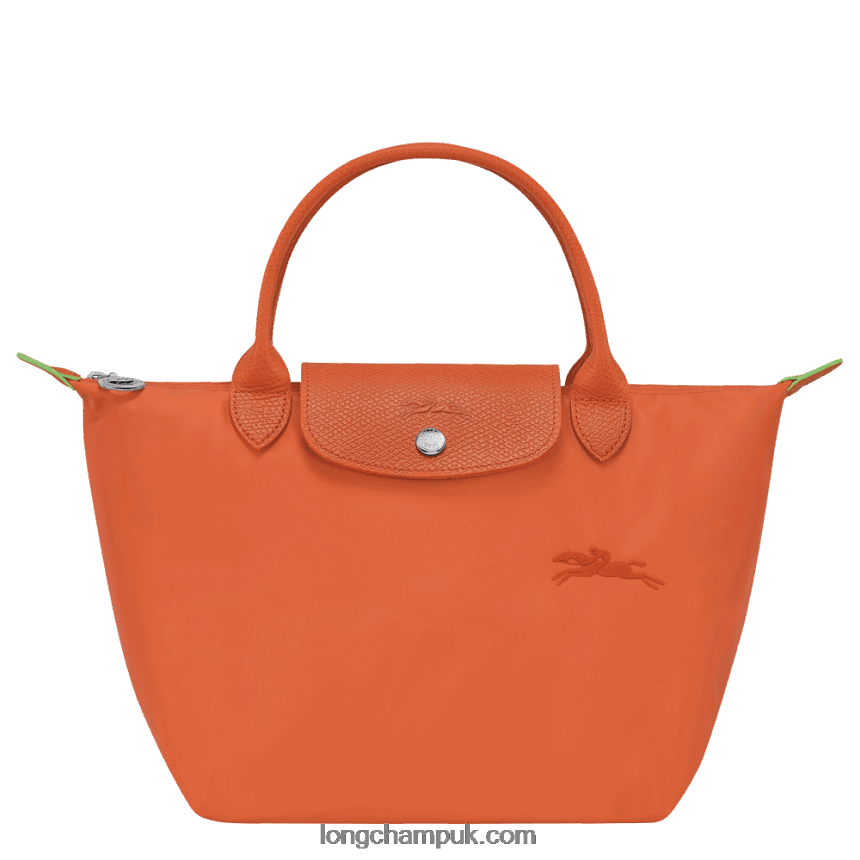 Le Pliage Green Handbag S Women Longchamp 8RTH8041 Carot