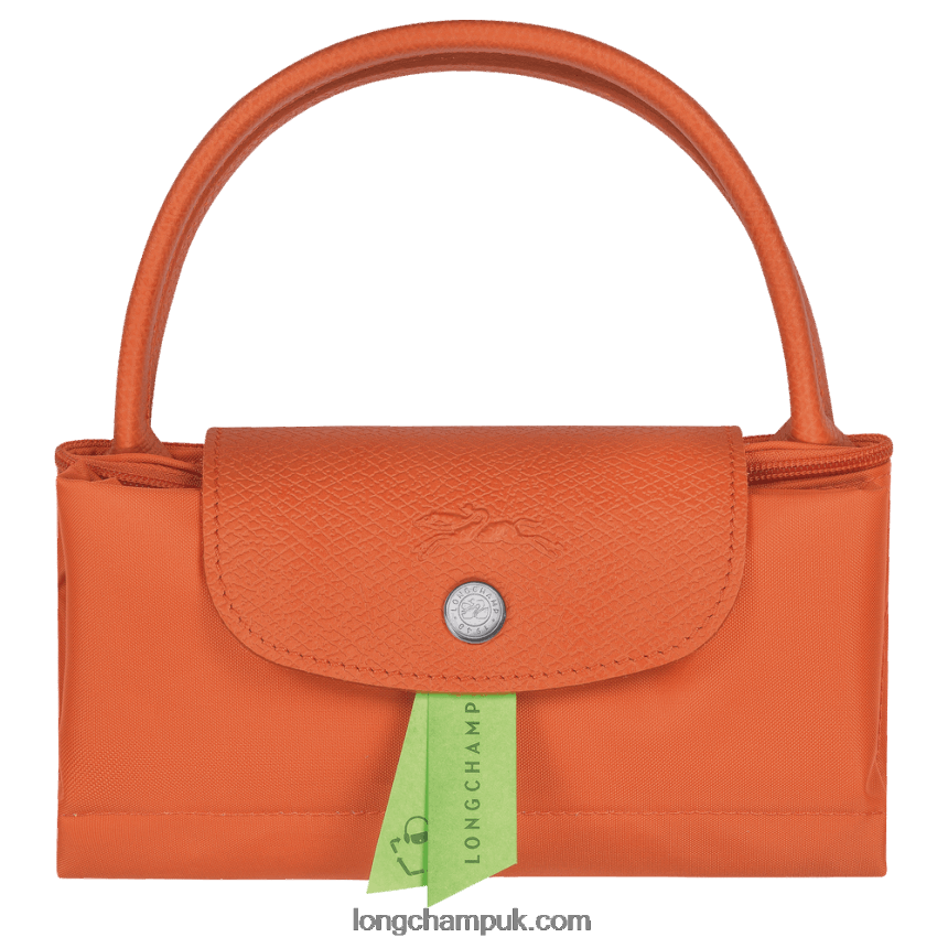 Le Pliage Green Handbag S Women Longchamp 8RTH8041 Carot
