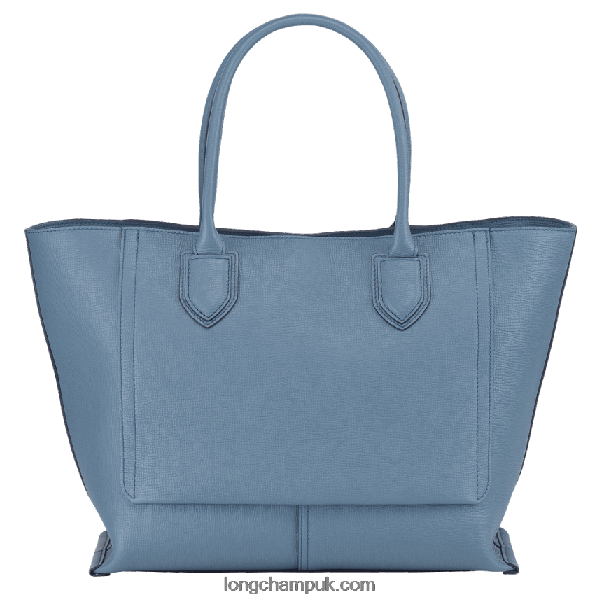 Mailbox Handbag L Women Longchamp 8RTH80173 Slate