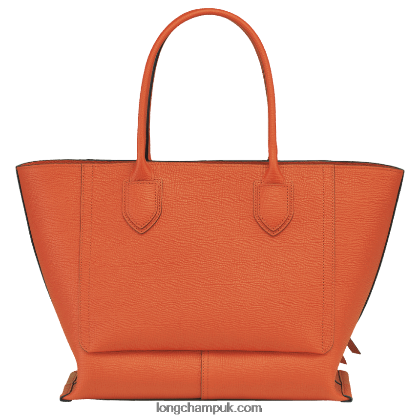 Mailbox Handbag L Women Longchamp 8RTH80174 Carot