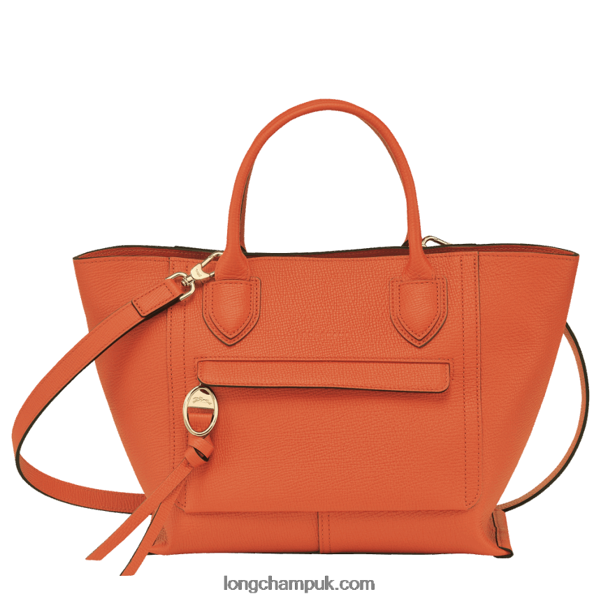 Mailbox Handbag M Women Longchamp 8RTH80170 Carot