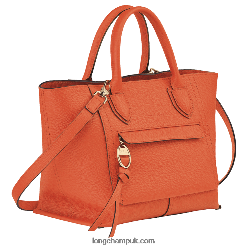 Mailbox Handbag M Women Longchamp 8RTH80170 Carot