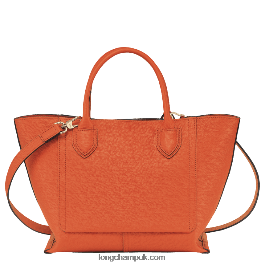 Mailbox Handbag M Women Longchamp 8RTH80170 Carot