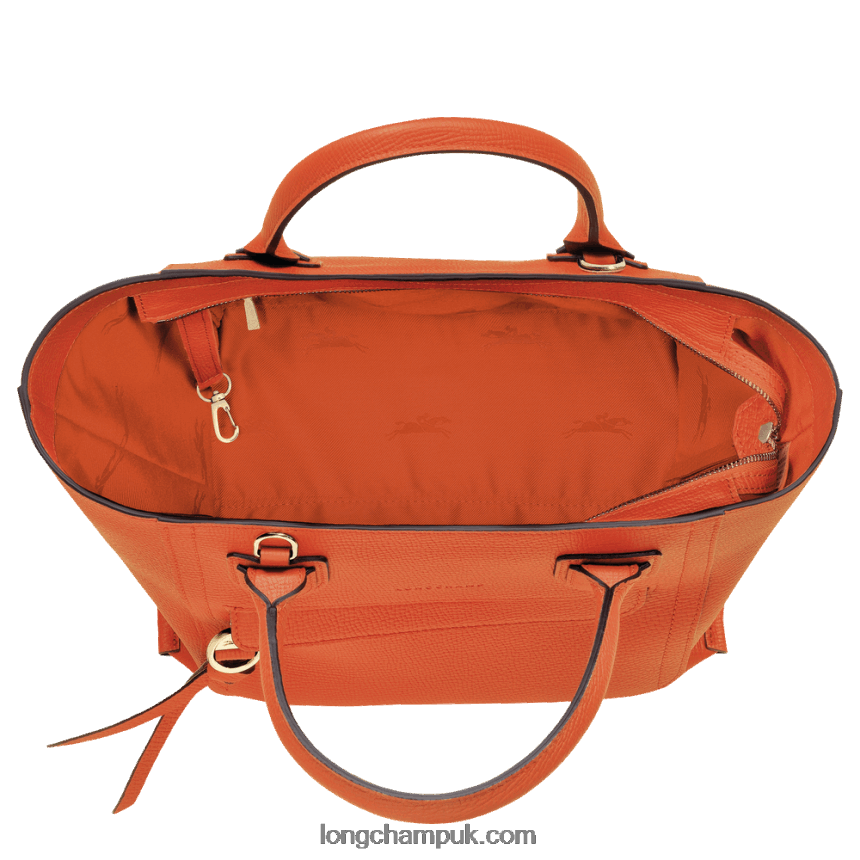 Mailbox Handbag M Women Longchamp 8RTH80170 Carot