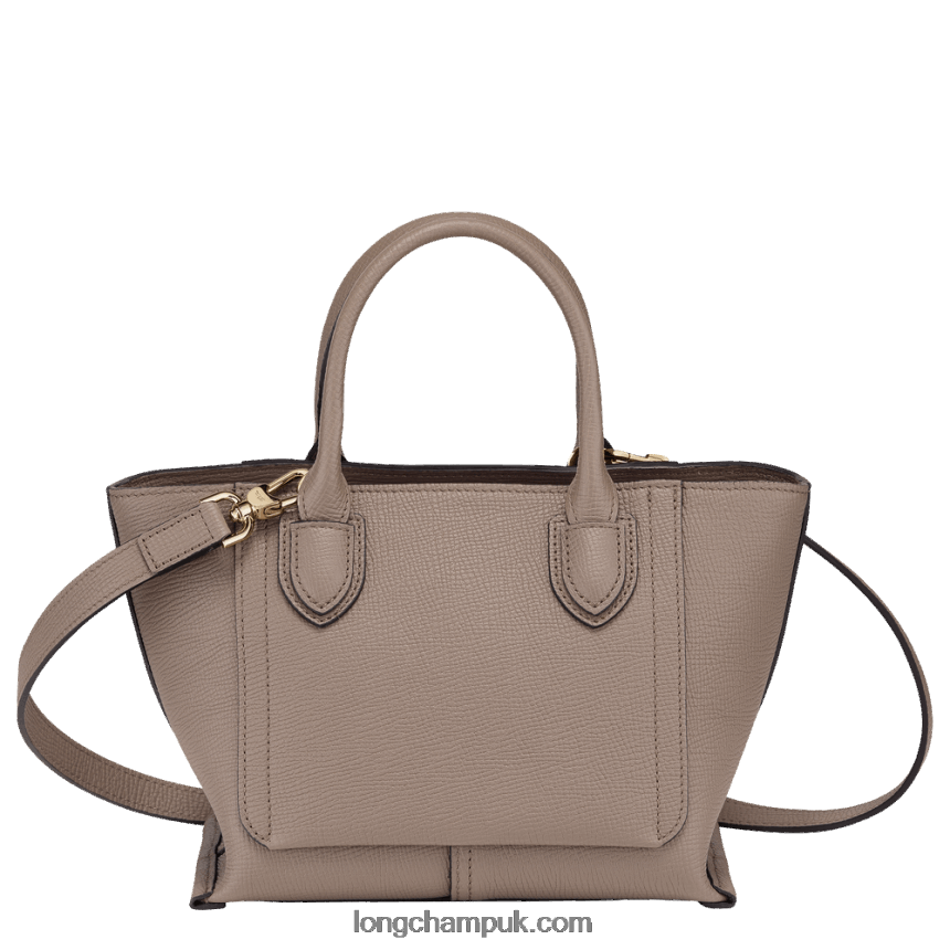 Mailbox Handbag S Women Longchamp 8RTH80164 Taupe