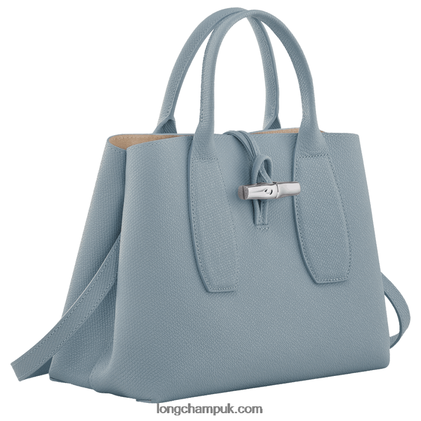 Roseau Handbag M Women Longchamp 8RTH80107 Cloud Blue