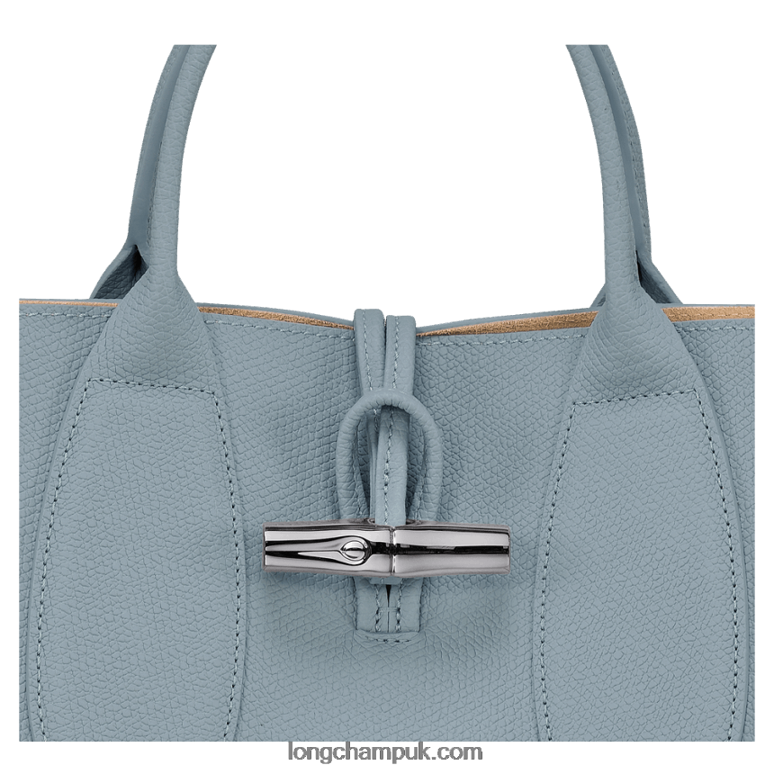 Roseau Handbag M Women Longchamp 8RTH80107 Cloud Blue