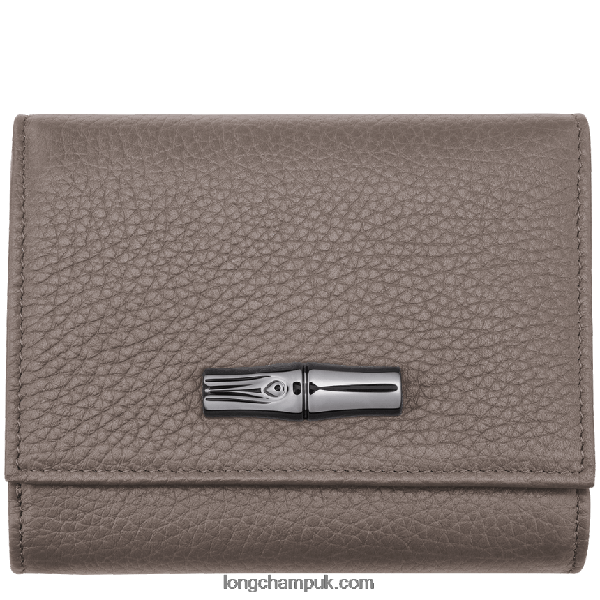 Roseau Essential Wallet Women Longchamp 8RTH80573 Grey